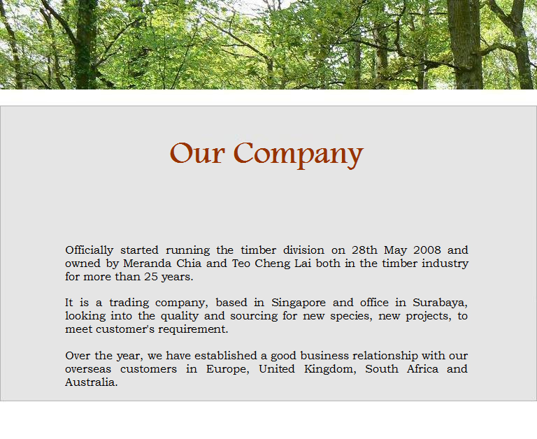 Our Company
