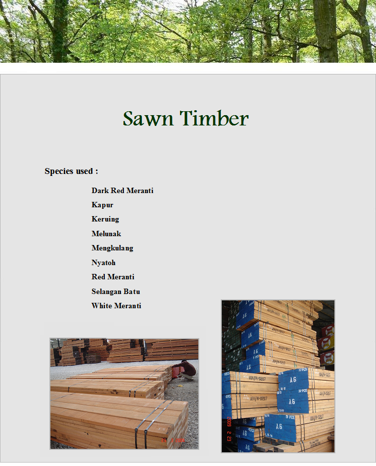 Sawn Timber