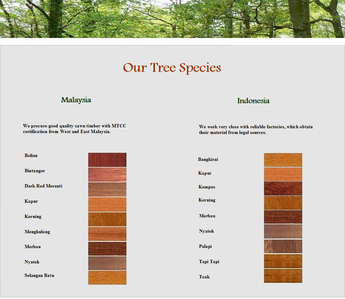 Our Tree Species